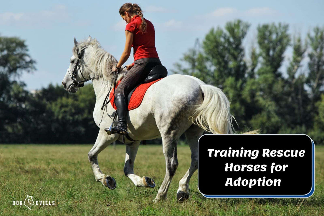 Shaping Rescue Horses for Adoption at Appalachian Trainer Face Off