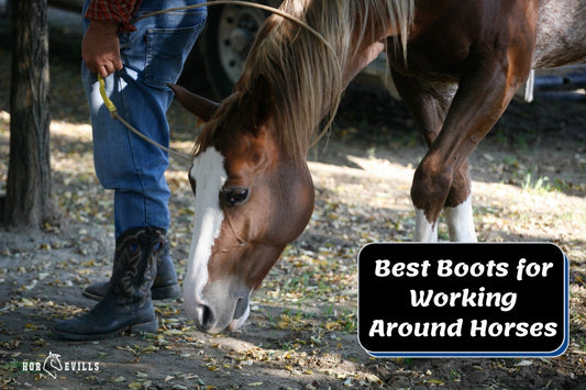 Top 13 Boots for Working Around Horses [Expert Review]