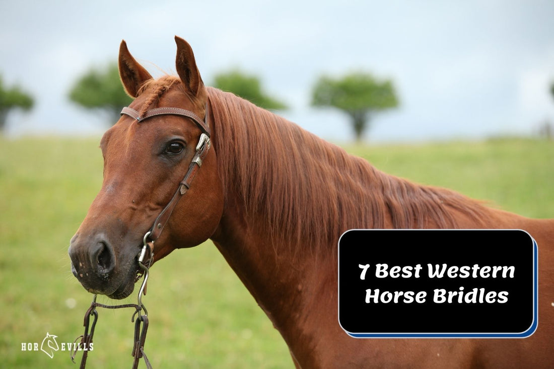 Top 7 Picks of Western Horse Bridles (Buying Guide)