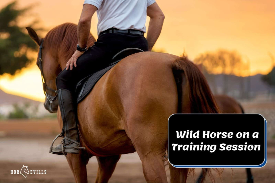 Amazing Wild Horse on a Training Session [With Video]