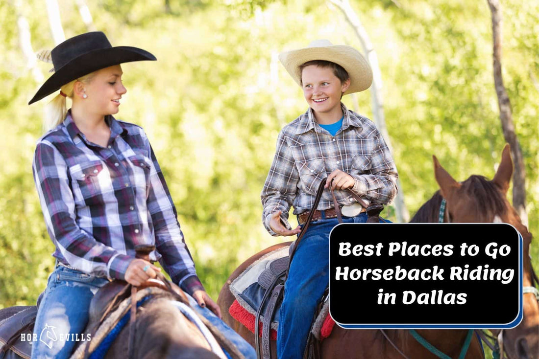 7 Best Places To Go Horseback Riding in Dallas Texas