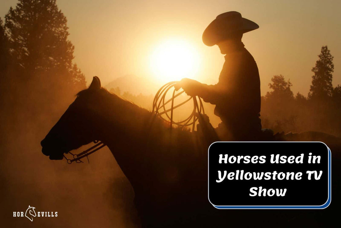 9 Horses Used in Yellowstone TV Show  [+ Cool Videos]