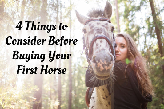 4 Things to Ponder Before Buying Your First Horse