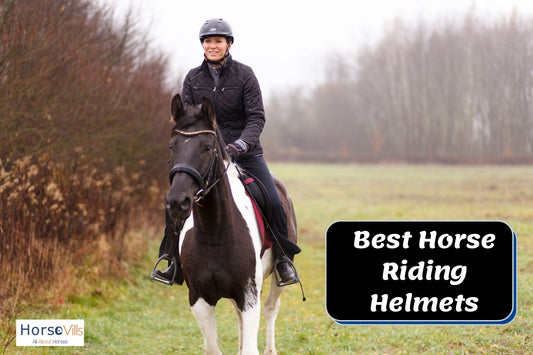 Top 10 Best Horse Riding Helmets (Expert's Review)