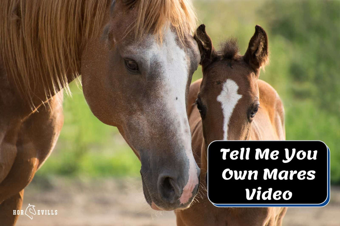 Tell Me You Own Mares: Epic Farm Adventure Caught on Video!