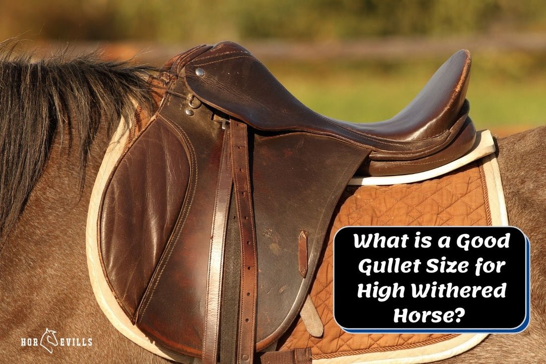 What is a Good Gullet Size for High Withered Horse? (Guide)