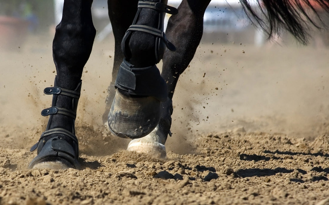 Should You Get Horse Boots Instead of Shoes?