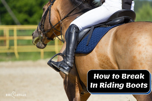 How to Break in Riding Boots: Simple Guide For Beginners