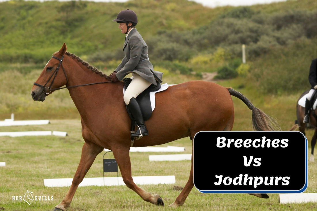 Jodhpurs Vs Breeches: What Are the Differences?