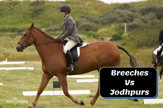 Jodhpurs Vs Breeches: What Are the Differences?