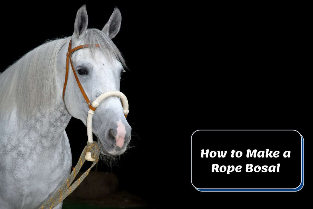 DIY Guide: How to Make a Rope Bosal for Horseback Riding