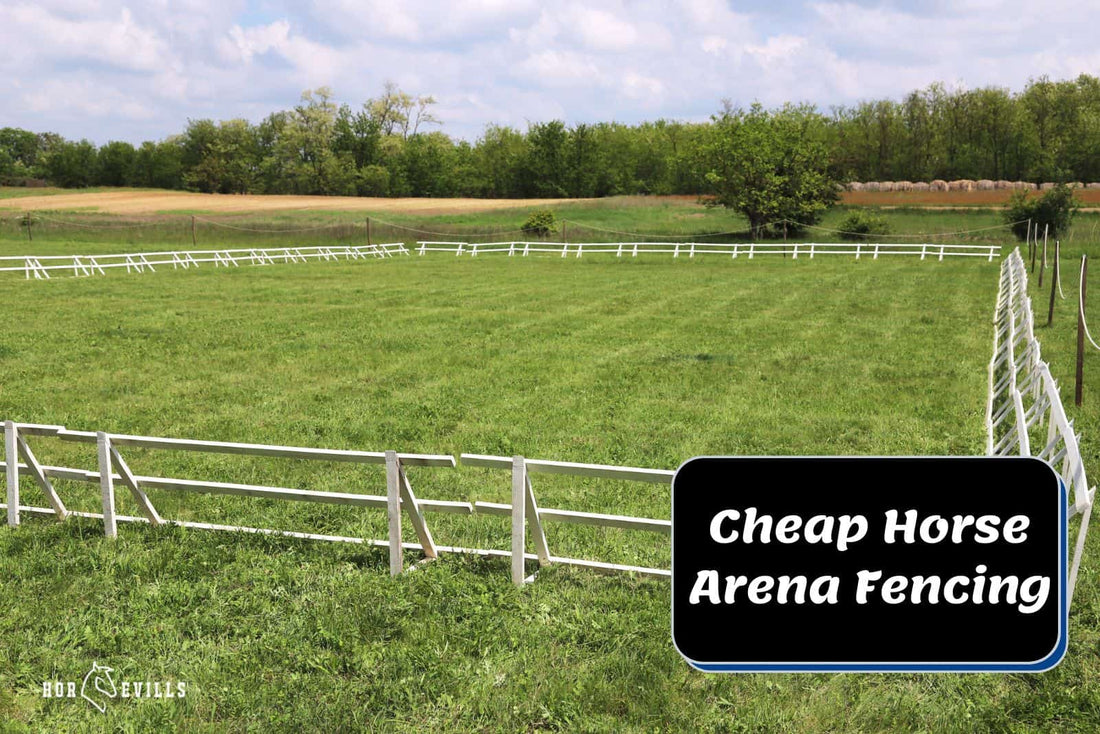 Building a Horse Arena On a Budget & 6 Cheap Fencing Ideas