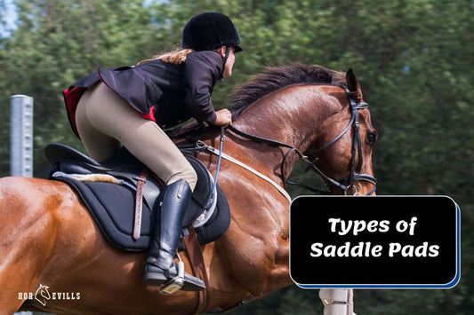 4 Different Types of Saddle Pads to Use For Your Horse