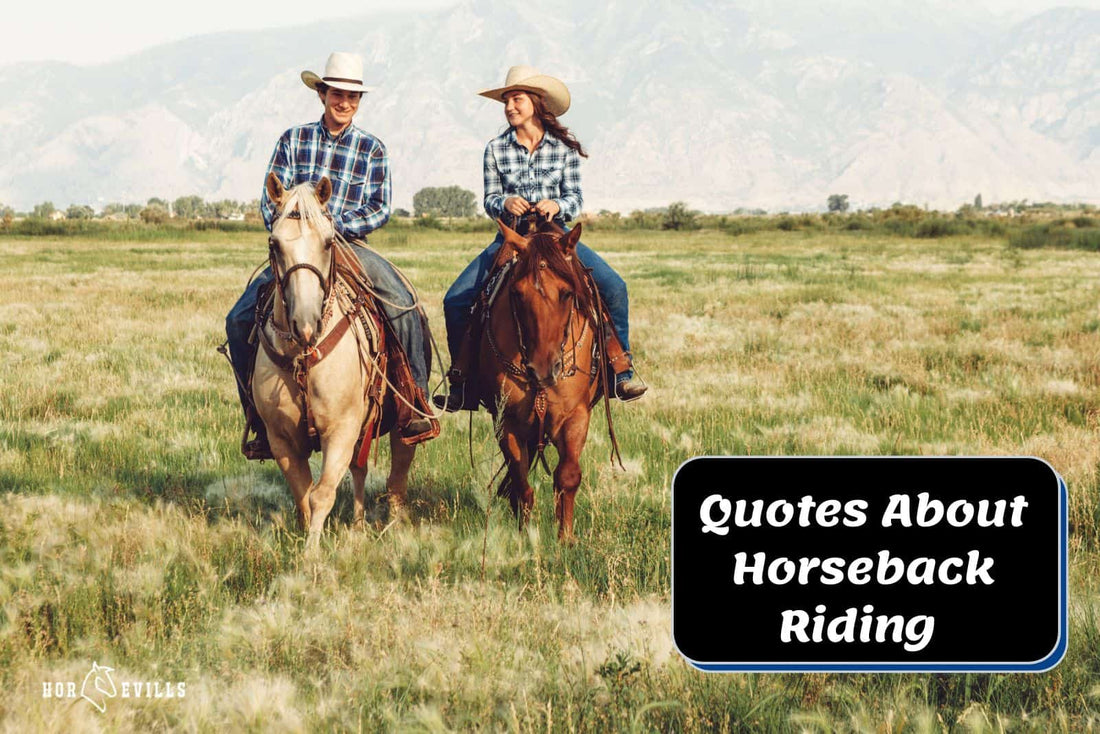 49 Quotes About Horseback Riding: Equestrian Inspiration