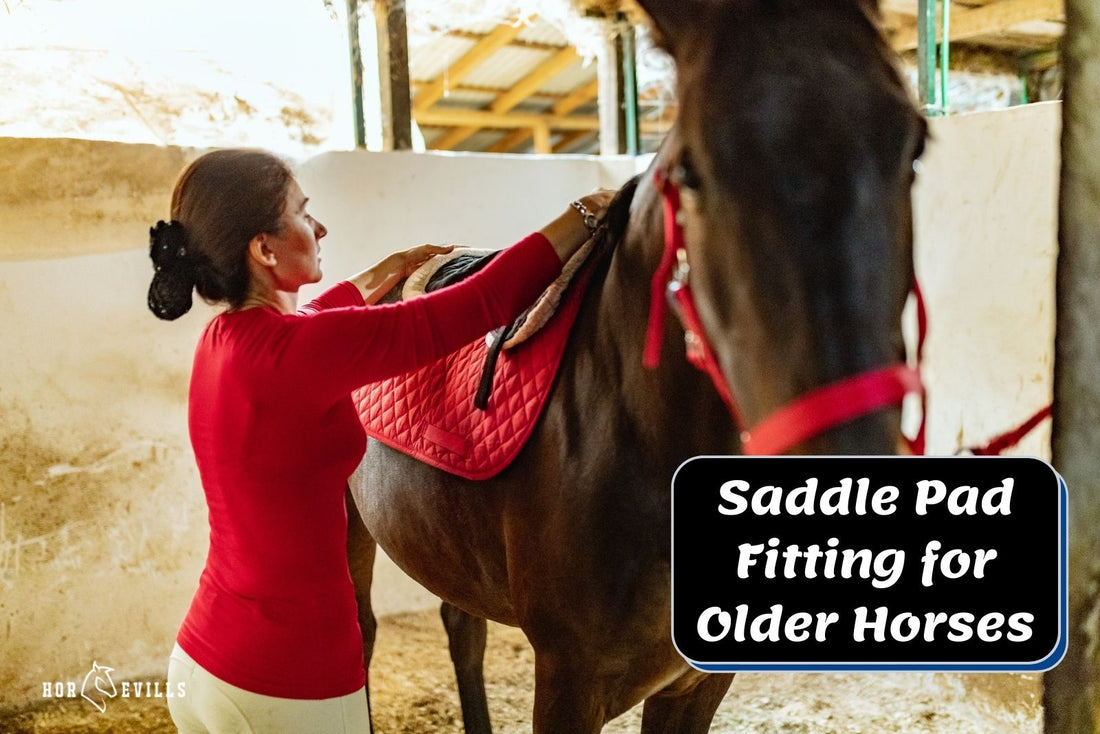 Saddle Pad Fitting for Older Horses (Step-by-Step Guide)