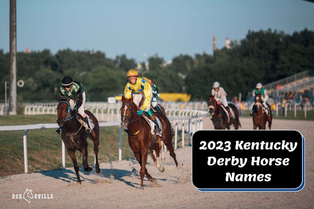 2023 Kentucky Derby: Meet the Horses &amp; Their Unique Names!