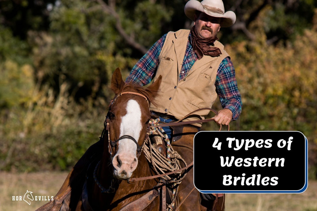 4 Different Types of Western Bridles 