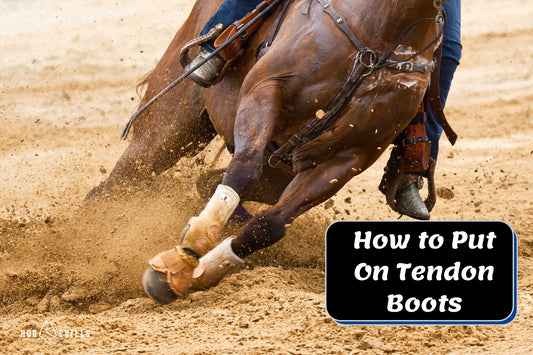 How to Put On Tendon Boots in 4 Easy Steps