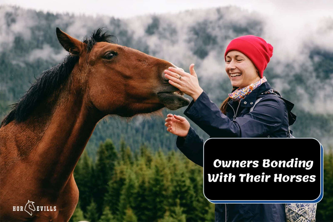 The Joy of Equine Bonding: Horses and Their Owners Photos