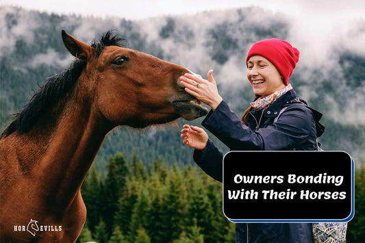 The Joy of Equine Bonding: Horses and Their Owners Photos