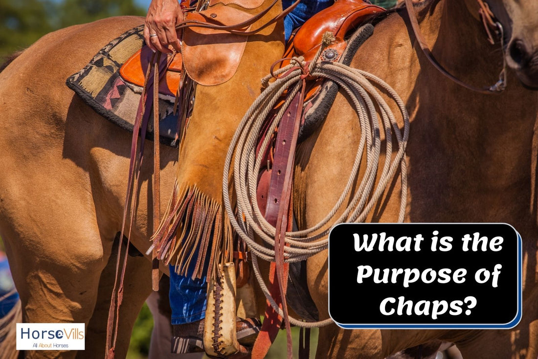 What Are Riding Chaps for? Do You Really Need Them?