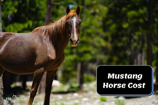 How Much Does a Mustang Horse Cost? (Price & Upkeep Guide)