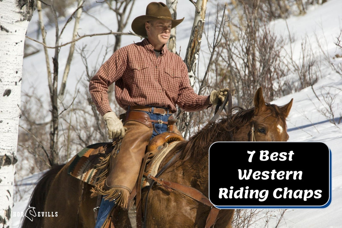 Top 7 Western Riding Chaps for Horse Riders