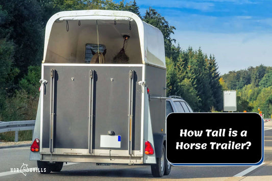 How Tall is a Horse Trailer? [Height Options &amp; What You Need]