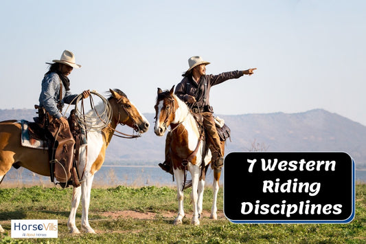 7 Types of Western Riding You Should Know About!