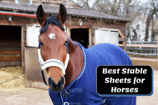 7 Best Stable Sheets for Horses to Keep Them Warm (Review)