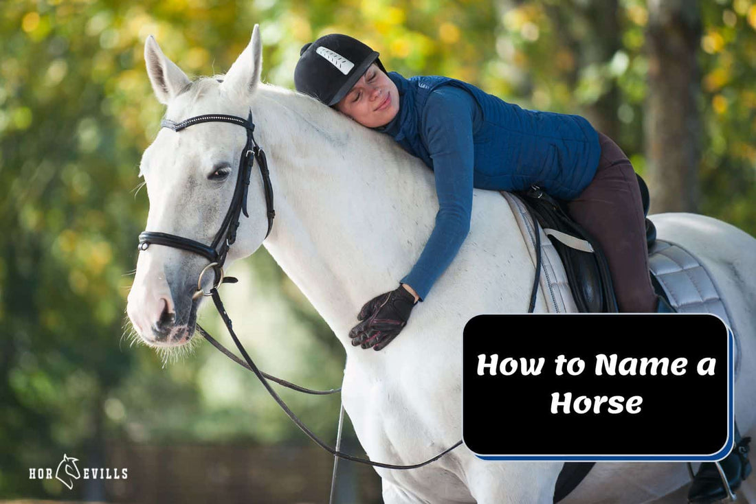 How To Name A Horse - Breed Rules & Fun Expert Tips