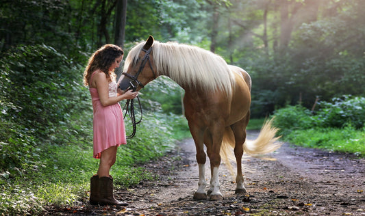 Inspirational Horse Songs: 5 Ideas That You Will Love [with videos]