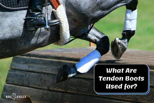 3 Reasons Why Use Tendon Boots for Horses