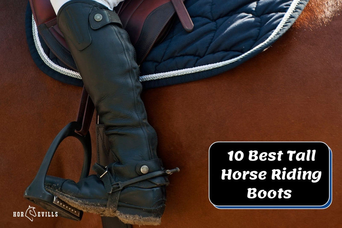 10 Best Tall Horse Riding Boots (Review & Buyer's Guide)