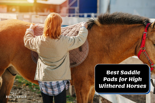 Top 7 Saddle Pads for High-Withered Horses