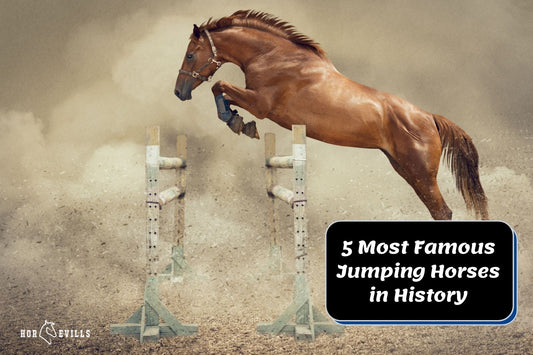 The Most Famous Jumping Horses in History (with Videos)