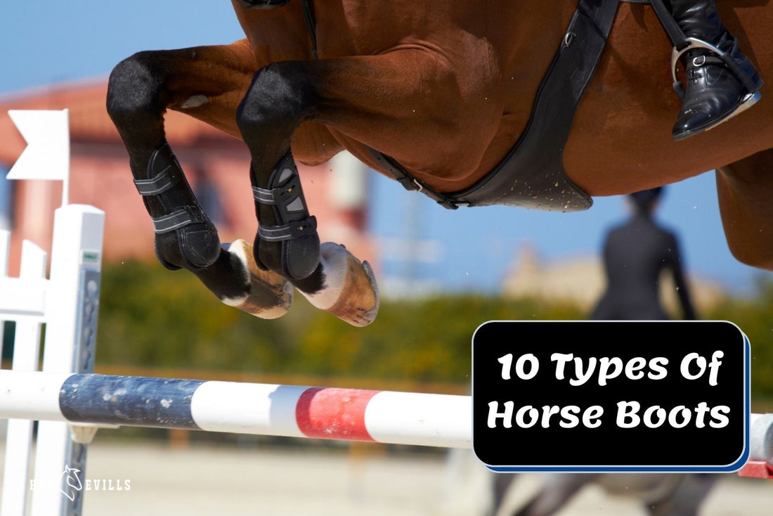 10 Types of Horse Boots Every Equestrian Should Know About