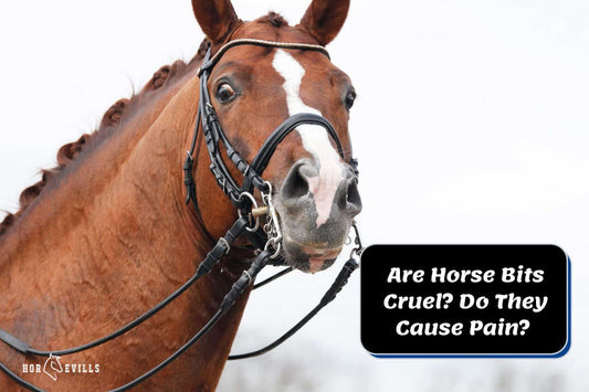 Are Horse Bits Cruel? Do They Cause Pain? [Pros &amp; Cons]