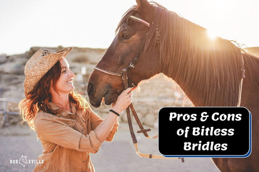 What Are the Pros and Cons of Bitless Bridles?