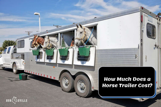 How Much Does a Horse Trailer Cost? [Is New Or Used Better?]