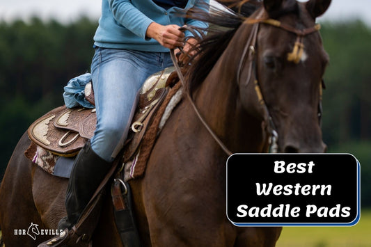 Top 8 Best Western Saddle Pads for Horses [Reviews in 2024]