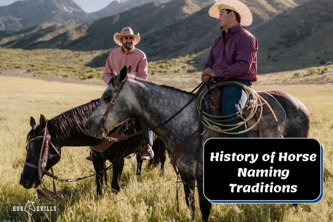 The History of Horse Naming Traditions in Different Cultures