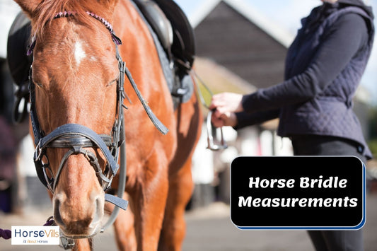 Horse Bridle Measurements Chart And How to Use it