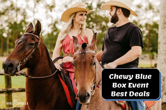 CHEWY BLUE BOX EVENT 2024: The Best Deals For Horse Lovers