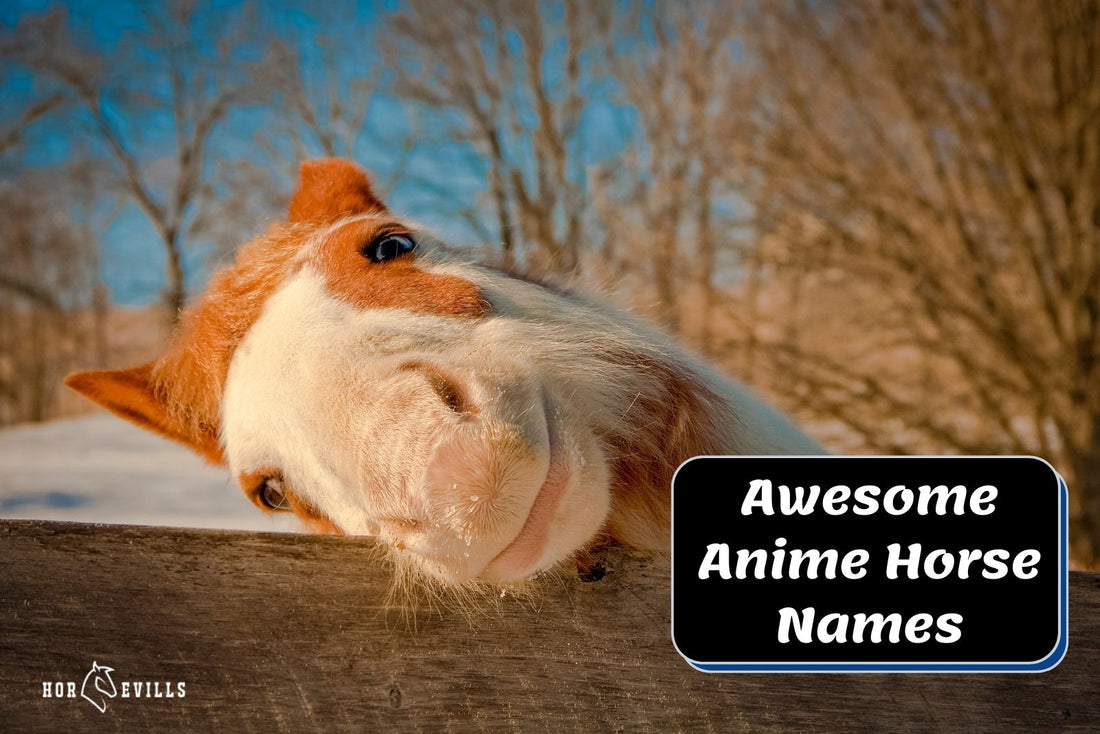 Anime Horse Names (290+ Awesome Mare and Stallion Ideas)