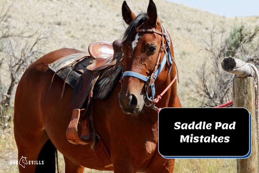 Saddle Pad Fails: Top 3 Mistakes That Are Hurting Your Horse!