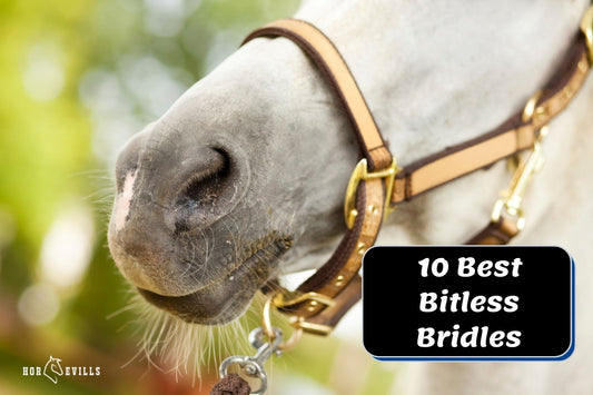 10 Best Bitless Bridles for Horses (Buying Guide)