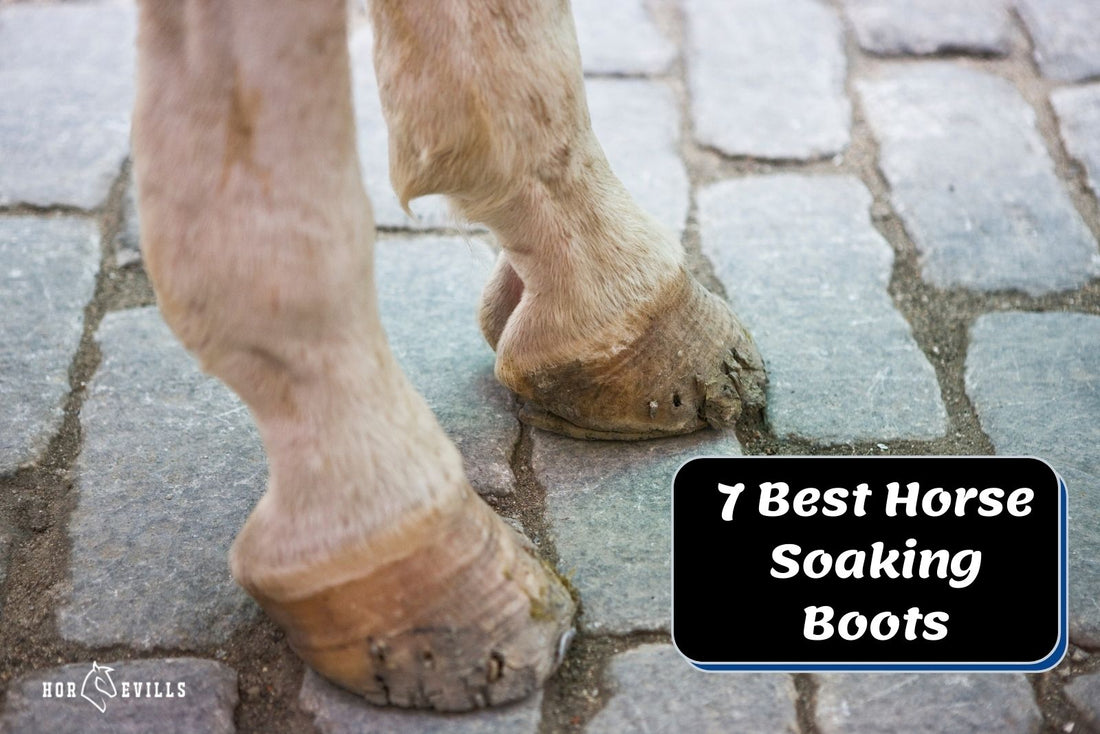 Top 7 Highly-Recommended Horse Soaking Boots