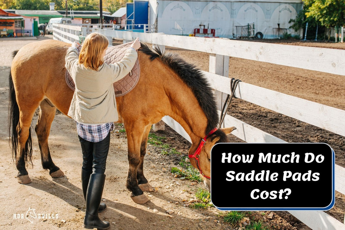 How Much Do Saddle Pads Cost? (Things to Consider When Buying)