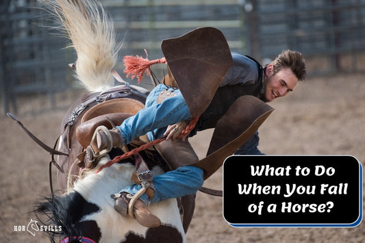 What to Do After Falling Off a Horse? (Safety Tips to Know)